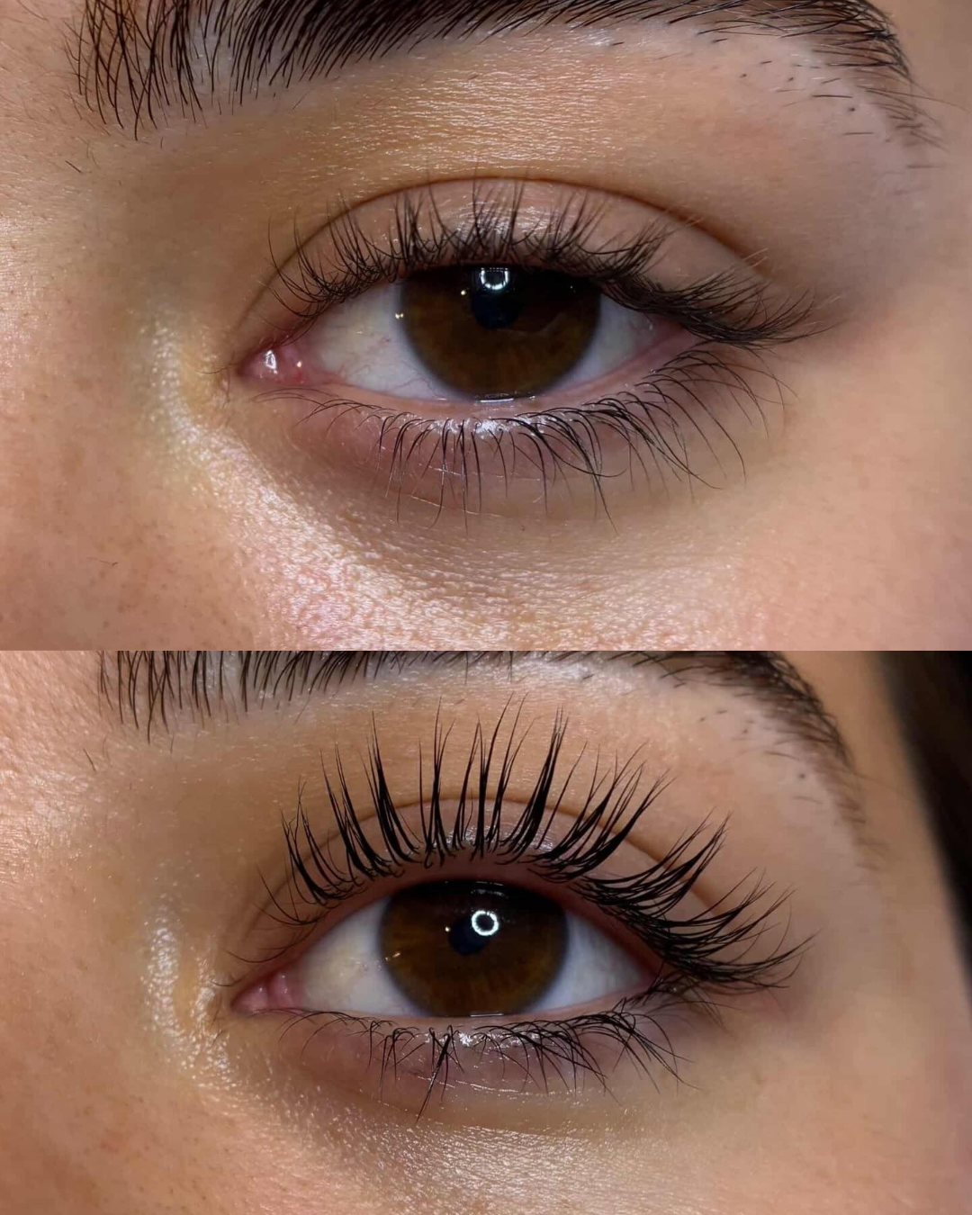 Lash Lift (tint included)